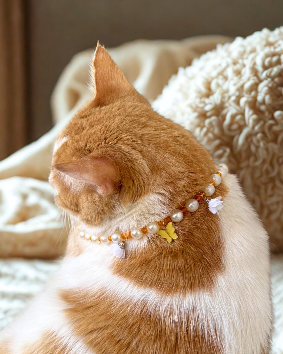 Collar - Mariposa - Imagen 2